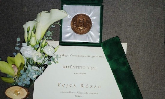Elnöki Kitüntető Díjban részesültünk!