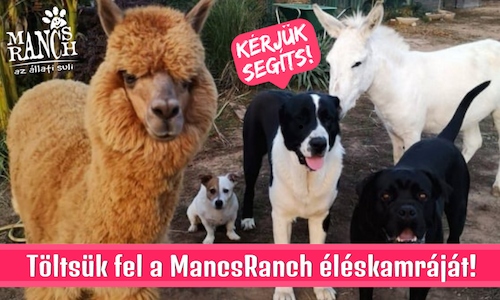 Segíts Te is!