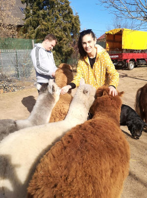Simizd meg otthonukban a MancsRanch csodás állatait!