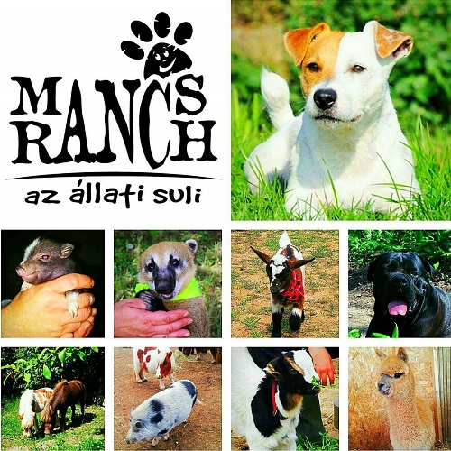 Mancs Ranch